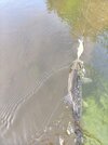 IMG_20260619_181151.jpg