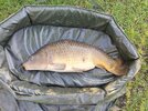 IMG_20260620_071906.jpg