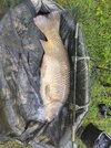 IMG_20260620_074837.jpg