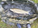 IMG_20260620_080156.jpg