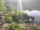 IMG_20260620_072954.jpg
