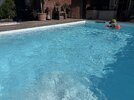 IMG_1958.jpeg