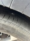 IMG_1967.jpeg