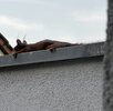 IMG_3430.jpeg