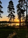 IMG_9003.jpeg