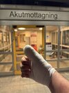 IMG_8935.jpeg