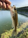 IMG_0580.jpeg
