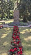 IMG_8787.jpeg