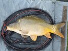 IMG_0056.jpeg