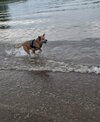 20260620_065709.jpg