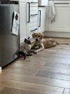 IMG_2042.jpeg