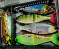 20260630_144421.jpg