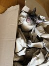 IMG_2328.jpeg