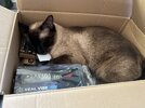 IMG_2335.jpeg