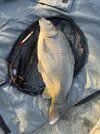IMG_0206.jpeg