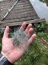 20260709_125713.jpg