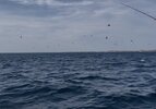 IMG_2343.jpeg