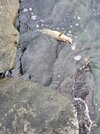 20260713_195834.jpg 20260713_195834.jpg