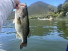 IMG_9755.jpeg