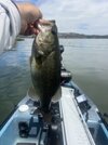 IMG_9752.jpeg