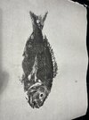 IMG_6180.jpeg