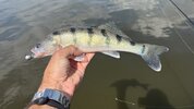 IMG_3618.jpeg