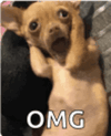 1000042056.gif 1000042056.gif