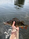 IMG_6072.jpeg
