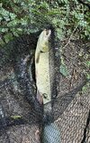 IMG_8435.jpeg IMG_8435.jpeg