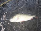20260723_200053.jpg