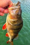 IMG_1731.jpeg