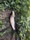 IMG_8450.jpeg
