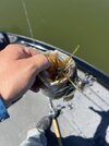 IMG_9891.jpeg