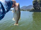 IMG_9896.jpeg