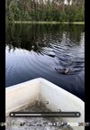 IMG_0339.jpeg