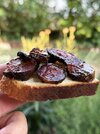 IMG_3497.jpeg