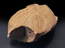 3 Siedfleisch Terrine 260804.jpg