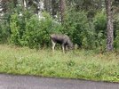 IMG_20260805_095441.jpg