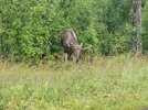 IMG_20260805_095351.jpg