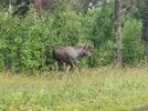 IMG_20260805_095407.jpg