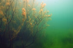 LS_01463a.JPG