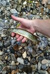 20260807_200136.jpg 20260807_200136.jpg