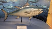 PXL_20260617_204058280.jpg