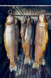 IMG_0486.jpeg
