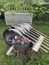 IMG_9053.jpeg