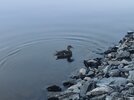 IMG_20260812_214053.jpg