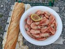IMG_20260813_202538.jpg