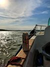 IMG_20260815_172021165_HDR~2.jpg