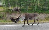 IMG_20260816_185105.jpg
