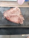 IMG_20260816_184441.jpg